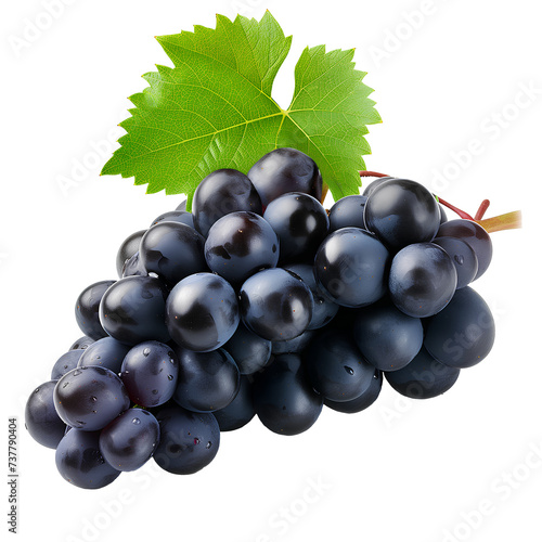 A bunch of dark blue grapes with a dew-fresh leaf, isolated on white, capturing the essence of vineyard freshness.
