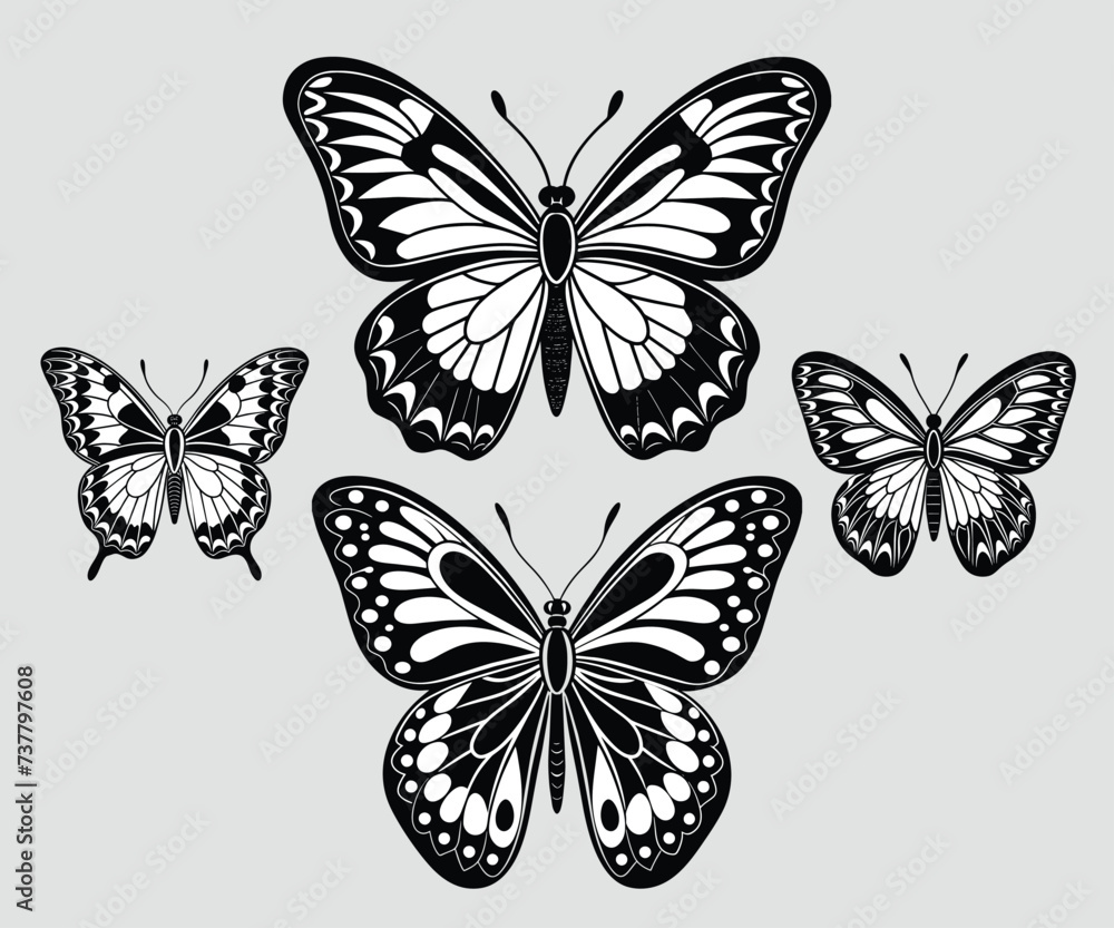 Obraz premium Set of black and white color butterflies' vector, illustration collection isolated