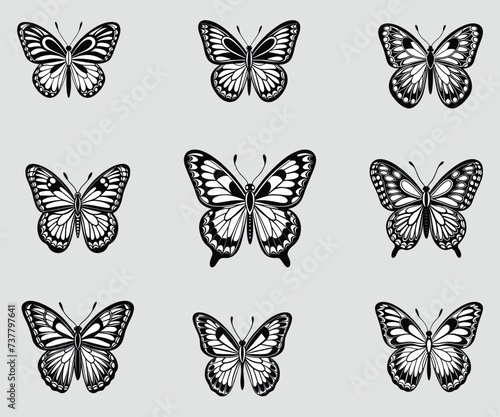 Set of black and white color butterflies' vector, illustration collection isolated