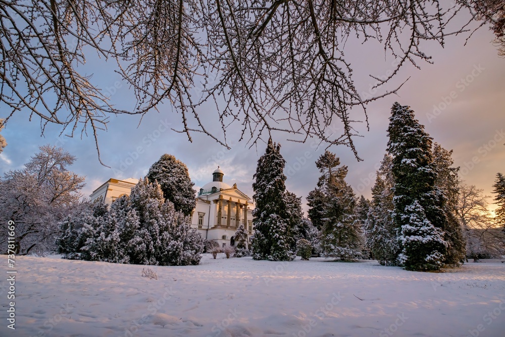 Beautiful colorful morning after snowfall in the park, snow-covered trees and historic romantic castle in the background. Topolcianky castle in winter