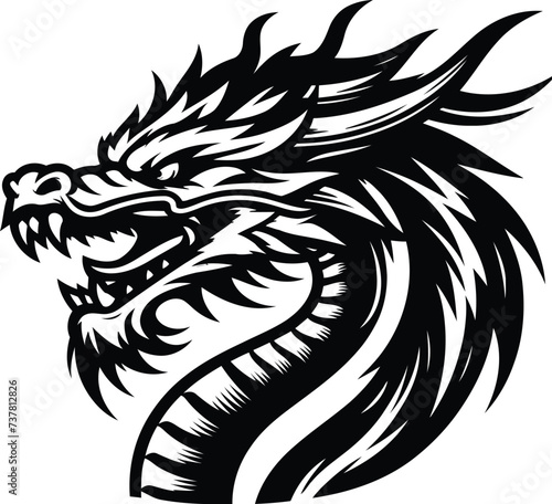 dragon head, animal illustration