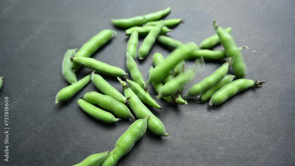 Vicia faba vegetable. Its other names broad bean, fava bean, or faba bean. It  is a species of vetch. This a flowering plant in the pea and bean family Fabaceae.