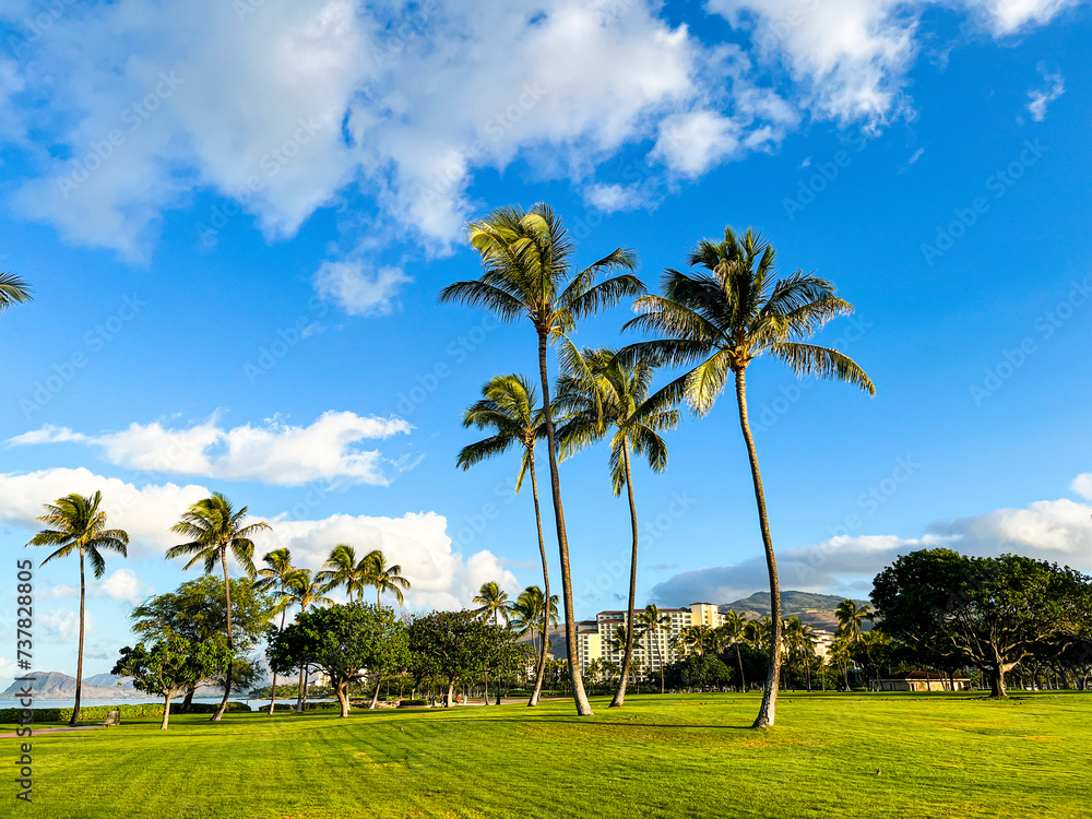 Beach landscape in Hawaii with palms and golden sand. A peaceful Waikiki beach in Honolulu on Oahu Island on Hawaii. Deep blue sky and tall palm trees make it a perfect vacation destination. Beach landscape in Hawaii with palms and golden sand. A peaceful Waikiki beach in Honolulu on Oahu Island on Hawaii. Deep blue sky and tall palm trees make it a perfect vacation destination.