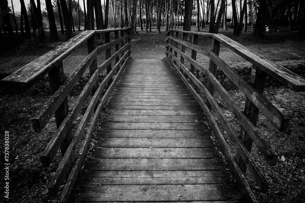 Fototapeta premium Old wooden bridge in the forest