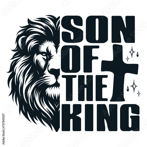 Son Of The King, Aesthetic Christian shirt, Men's Religious Shirt, Bible Verse Hoodie, Christian Gifts, Catholic Gifts