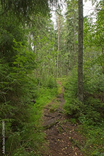 Trail in nature on the island of Linlo in autumn, Kirkkonummi, Finland.