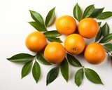 Clementine , blank templated, rule of thirds, space for text, isolated white background