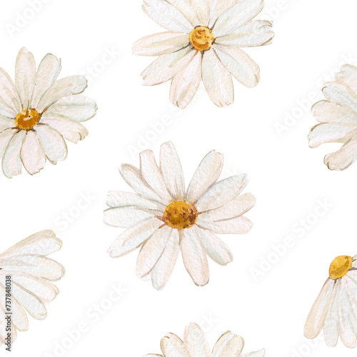 Watercolor seamless pattern with chamomile flowers on a white background. A minimalist print for design and design of packaging, background, wallpaper, packaging paper. Chamomile medicinal plant. © Yana