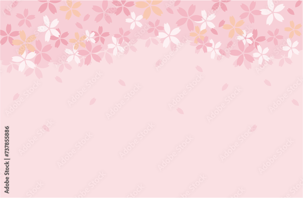 桜　背景　ピンク