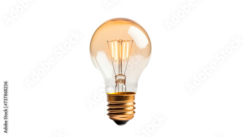 Lightbulb cut out. Transparent light bulb. Lightbulb on transparent background