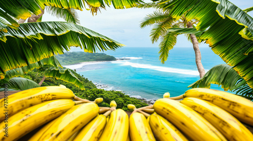 Lush Banana Plantation, Tropical Abundance, Fresh Bananas Hanging in Natures Bounty, A Glimpse into Agricultural Wonders