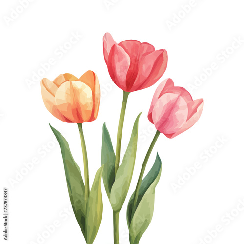 Fototapeta Naklejka Na Ścianę i Meble -  beautiful spring bouquet of tulips flower on white background 