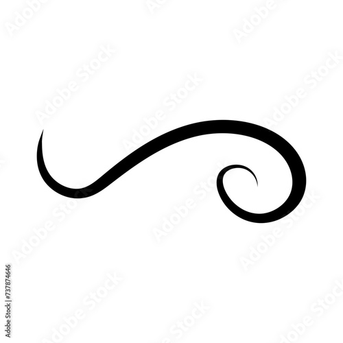 Swishes vector icon. Swashes illustration sign. Swoops symbol. Aroma logo.