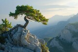 A solitary tree perched atop a rugged cliff, overlooking the vast expanse of sea and mountains.