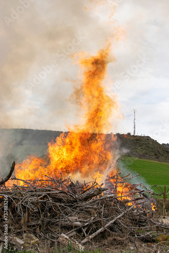 Burning pruning remains in the rural environment