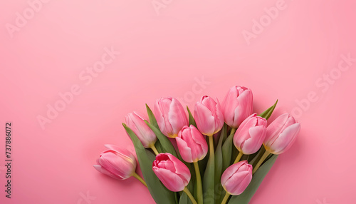 Wallpaper Mural Beautiful composition spring flowers. Bouquet of pink tulips flowers on pastel pink background. Valentine's Day, Easter, Birthday, Happy Women's Day, Mother's Day.
 Torontodigital.ca