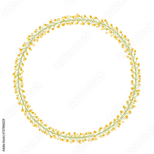 Yellow mimosa flowers round wreath frame. Watercolor background border with hand drawn flower illustration isolated on white for card design, print, web banner, holiday decor. Acacia dealbata, silver