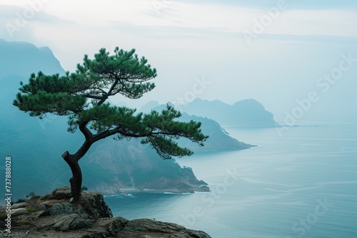A tree standing proudly on a cliff's edge, overlooking expansive views of the sea and distant mountains. photo