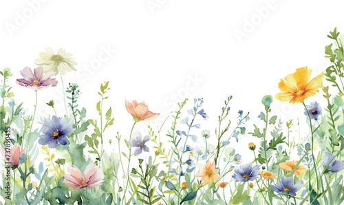 watercolor frame background spring flowers and grass