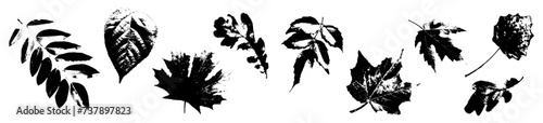 Various leaves photocopy effect elements set with grunge stippling grain messy texture. Trendy y2k aesthetic vector illustration, Ideal for seasonal poster design, t shirt, tee print, sweatshirt