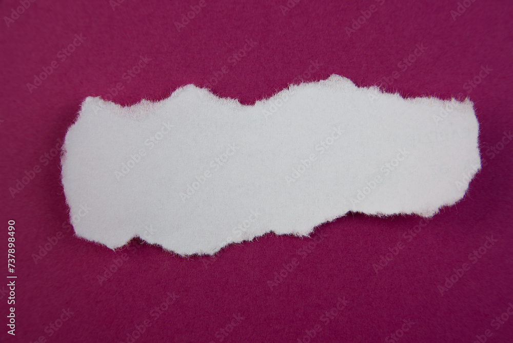 custom made wallpaper toronto digitalWhite Torn up paper strip on a violet background