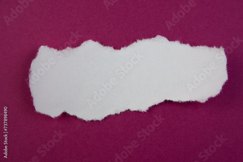 Wallpaper Mural White Torn up paper strip on a violet background Torontodigital.ca