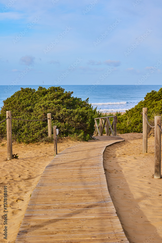 Fototapeta premium Wooden path to the sea through sand dunes overgrown with bushes