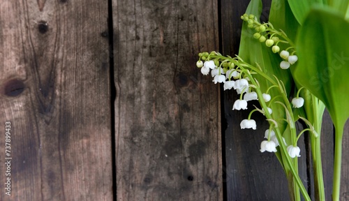 pretty bouquet of fresh lily-of-the- valley on a wooden background and copy s...