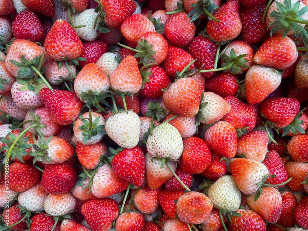 Fresh strawberries background. Red ripe strawberries Fresh strawberries background. Red ripe strawberries