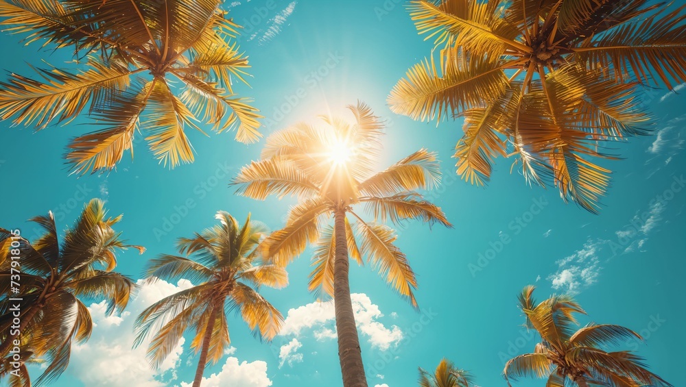 palm tree and clear blue sky