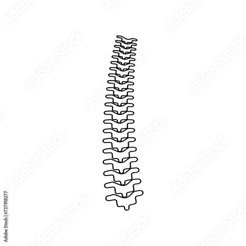 Spin line icon vector isolate on white background.