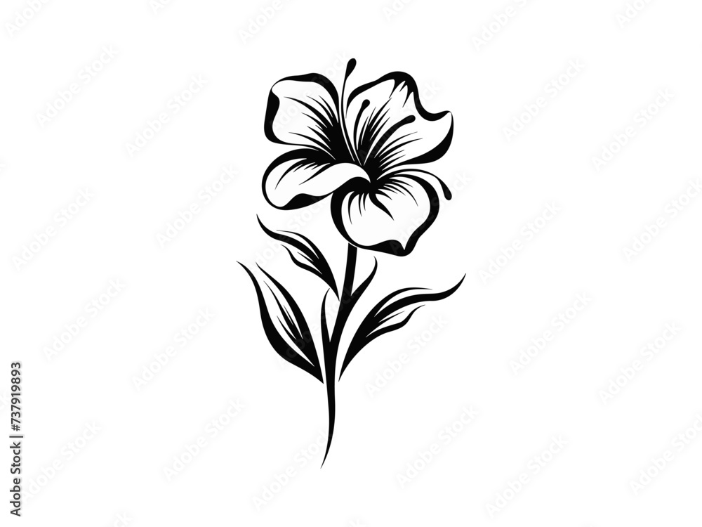 Beautiful minimalist flower illustration art. Beautiful minimalist flower illustration art.