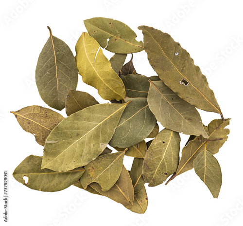 pile of a dried bay leaves, organic spice herb leafs, graphic element isolated on a transparent background