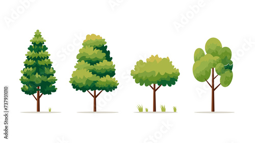 Diverse set of stylized trees. Natural illustration.