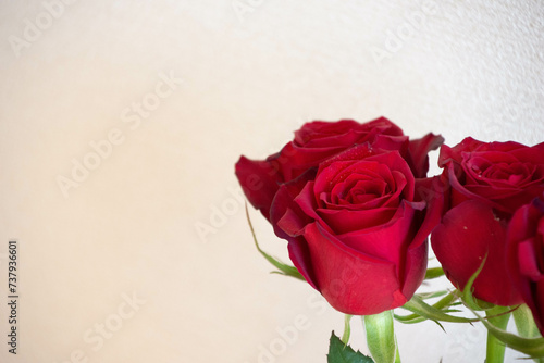 Fototapeta Naklejka Na Ścianę i Meble -  赤いバラ