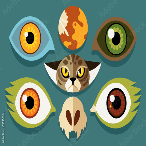 Anatomical studies of different animal eyes vektor illustation