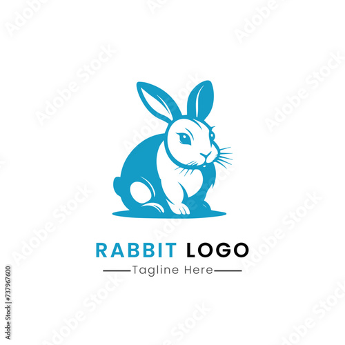 Rabbit logo icon design vector © AinStory