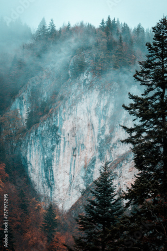 Beautiful landscape with trees, rock and fog during late autumn