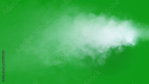 Wallpaper Mural Car exhaust gases from an exhaust pipe on a green background. White smoke. Environmental pollution concept. Can be used both horizontally and vertically. Torontodigital.ca