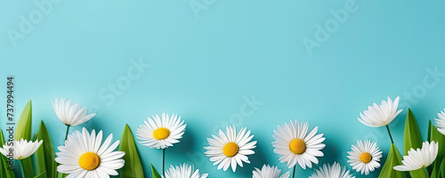 Beautiful, fresh white daisies on pastel blue background. Wild flowers. Soft light color. Greeting card. Mockup for positive idea. Empty place for inspirational, emotional, sentimental text or quote.