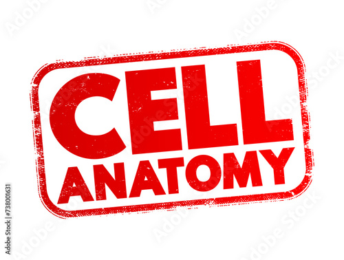 Cell anatomy - consists of three parts: the cell membrane, the nucleus, and, between the two, the cytoplasm, text concept stamp