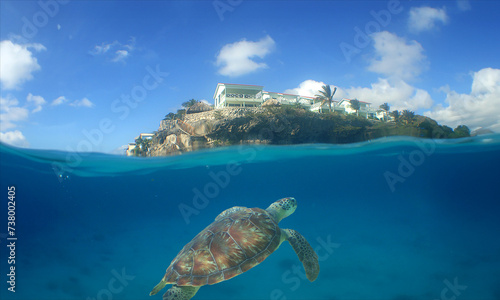 Bild auf Leinwand a green turtle swimming on lagun beach on the island of curacao