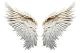 Two White Angel Wings. Two white angel wings are displayed on a Transparent background, creating a striking visual contrast.