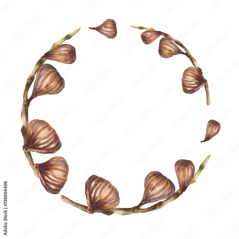 Branch of dried fig fruit, Dry fruits wreath, frame, template. Food, plant clipart for card, label, sticker, logo, price tag print. Hand drawn watercolor illustration. Isolated on white background Branch of dried fig fruit, Dry fruits wreath, frame, template. Food, plant clipart for card, label, sticker, logo, price tag print. Hand drawn watercolor illustration. Isolated on white background