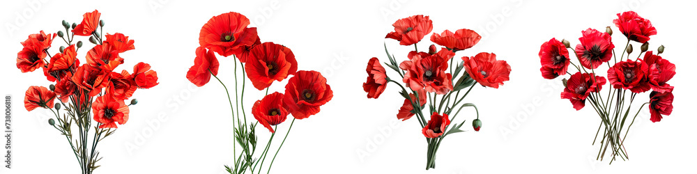 Fototapeta premium A selection of red gerbera daisies and poppies in various arrangements, with crisp, clear petals and green stems, all isolated for versatile use against a transparent background.