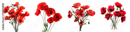 A selection of red gerbera daisies and poppies in various arrangements, with crisp, clear petals and green stems, all isolated for versatile use against a transparent background.