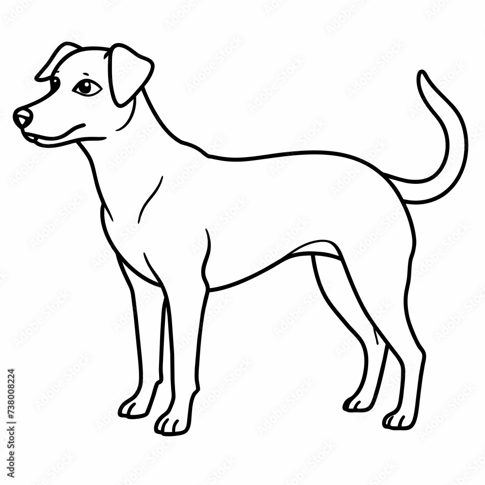 Pedigree dog puppy standing, black and white coloring. Vector line art