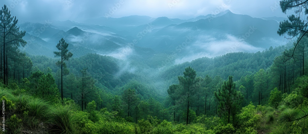 mountain forest landscape with cloudy sky - obrazy, fototapety, plakaty 