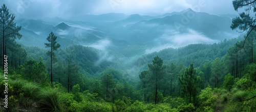 mountain forest landscape with cloudy sky