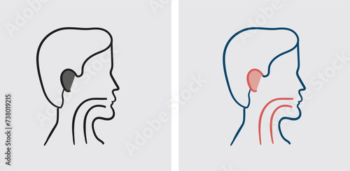 ENT specialists may perform surgical procedures to address cosmetic or functional concerns related to the face, neck, and head, such as rhinoplasty (nose reshaping), septoplasty (correcting a deviated